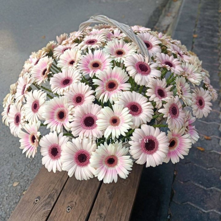 Корзина с герберами  в Санкт-Петербурге