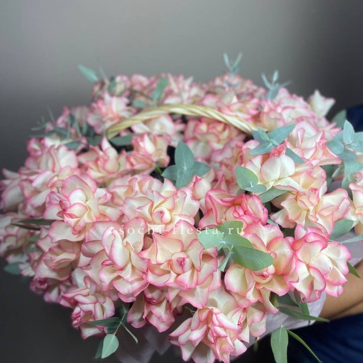 51 джумилия  в корзине   в Санкт-Петербурге