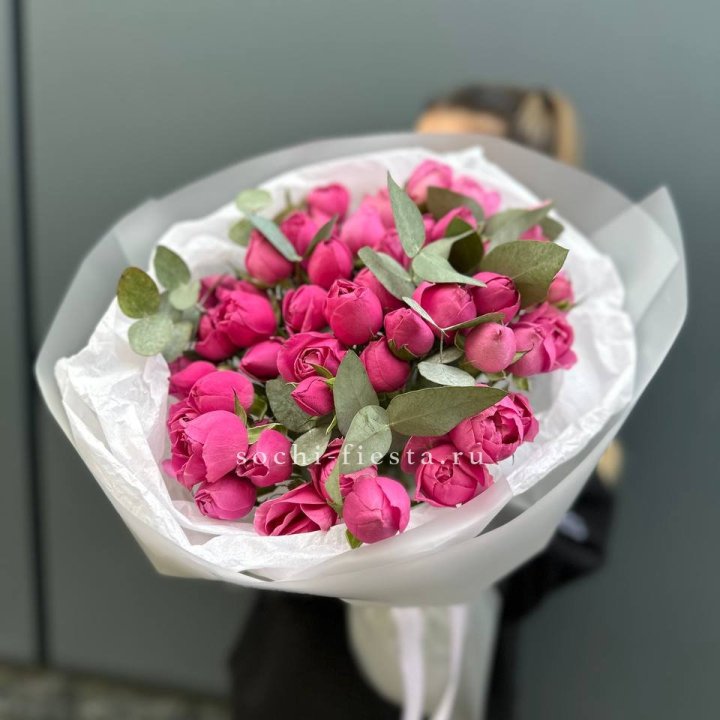 17 Мисти бабблс в Санкт-Петербурге