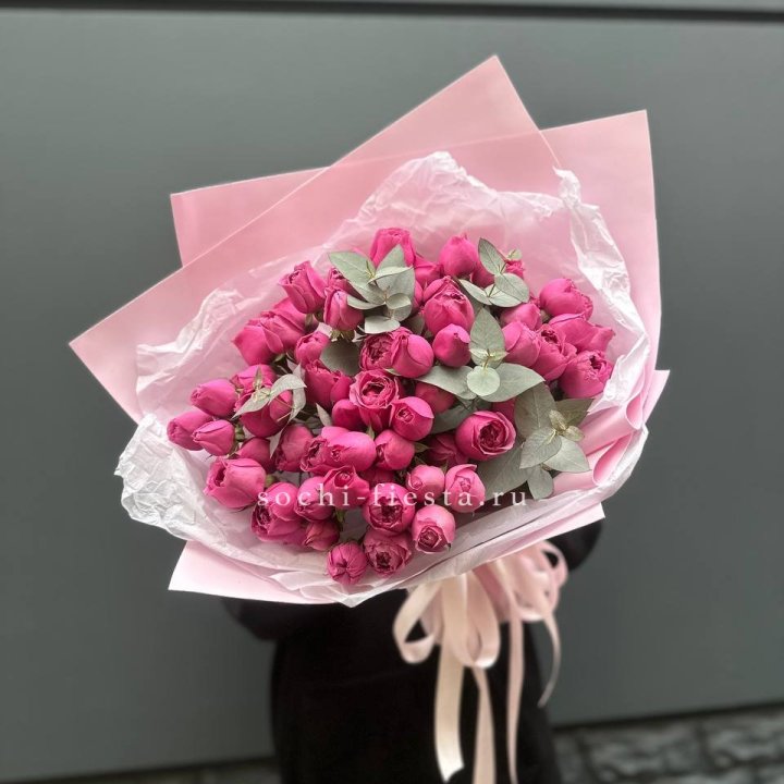 25 Мисти бабблс в Санкт-Петербурге