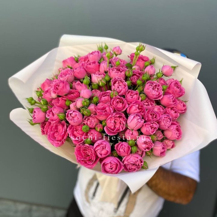 Мисти Баблс 35шт в Санкт-Петербурге