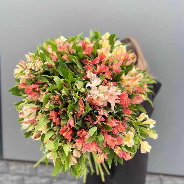 51 альстромерия в Санкт-Петербурге