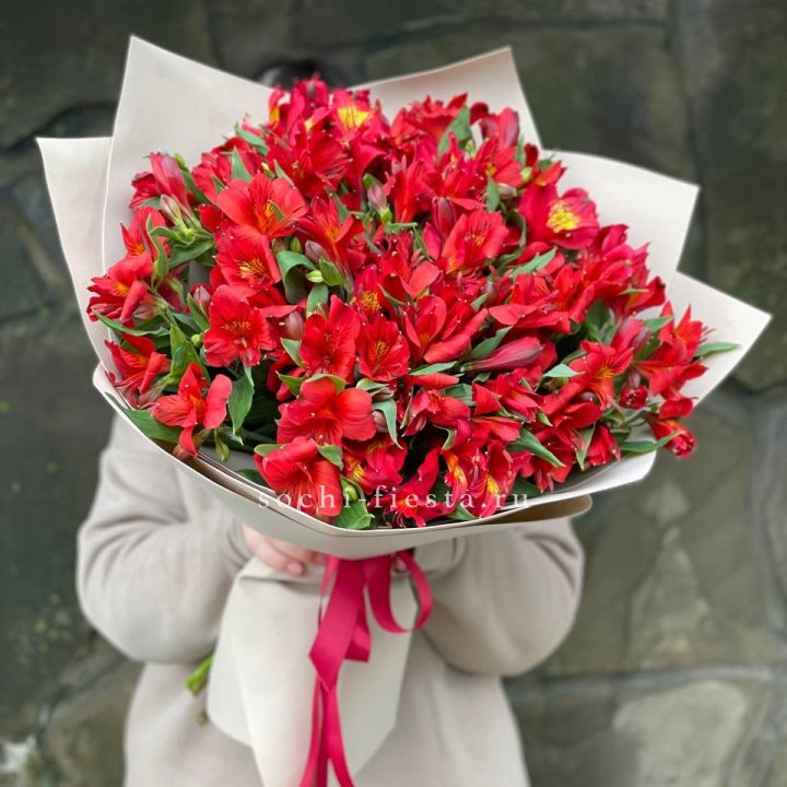 51 альстромерия в Санкт-Петербурге