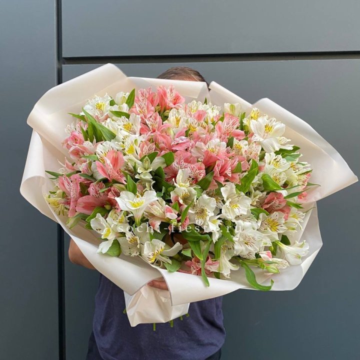 39 альстромерий в Санкт-Петербурге