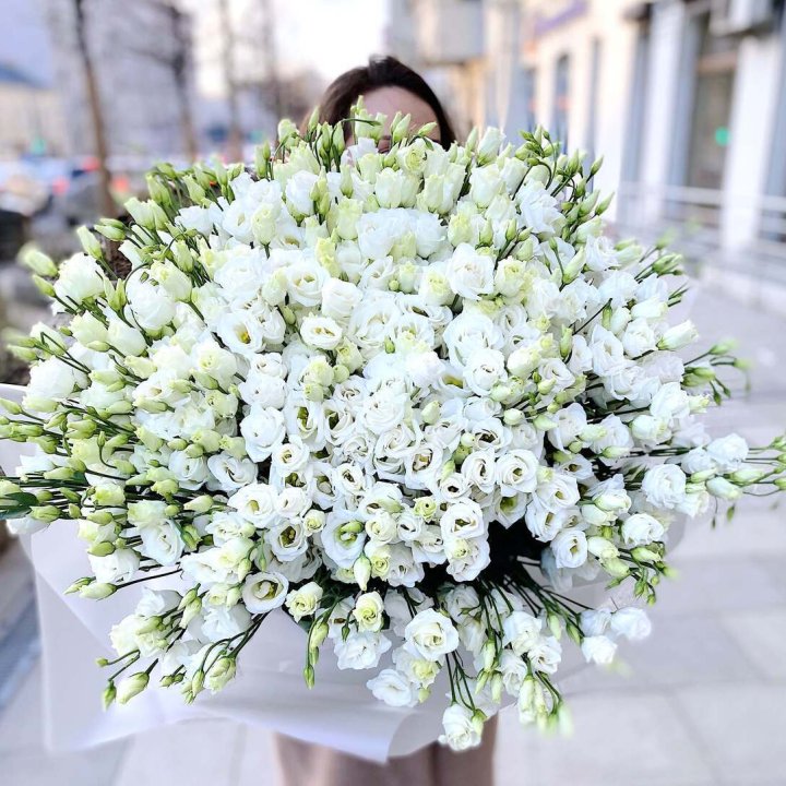 101 белая эустома в Санкт-Петербурге