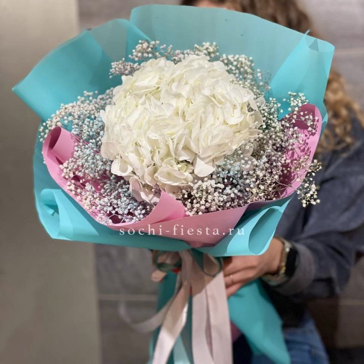 Гортензия "Райдов" в Санкт-Петербурге