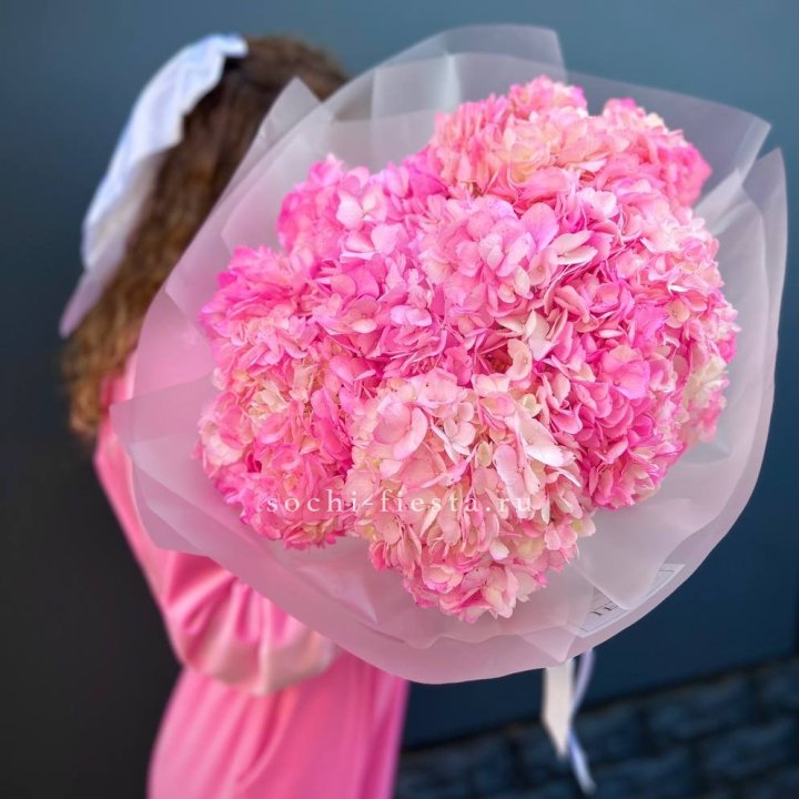 7 ярко розовых гортензий в Санкт-Петербурге