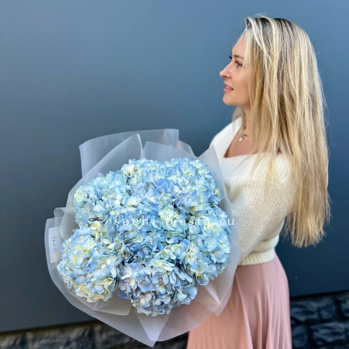 7 голубых гортензий в Санкт-Петербурге