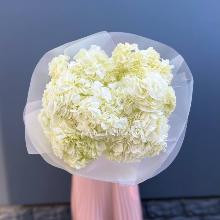 7 белых гортензий в Санкт-Петербурге