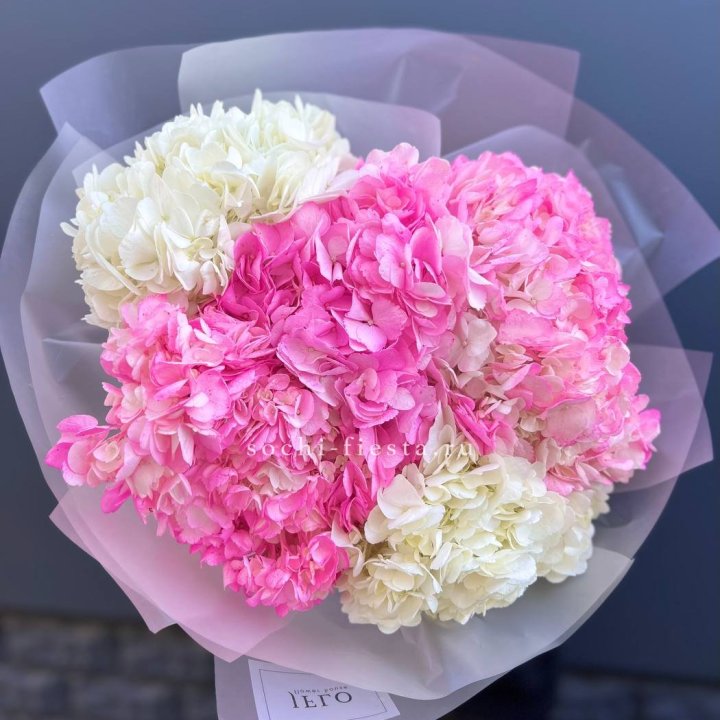 5 бело-розовых гортензий в Санкт-Петербурге