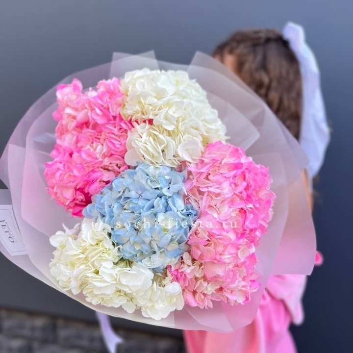 7 гортензий микс в Санкт-Петербурге