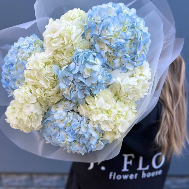 9 бело-голубых гортензий в Санкт-Петербурге