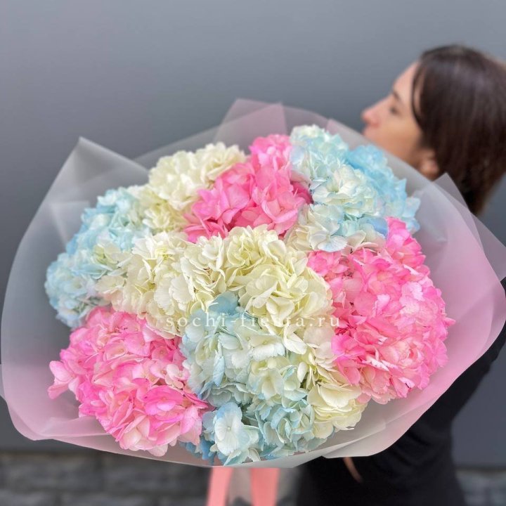 9 гортензий микс в Санкт-Петербурге