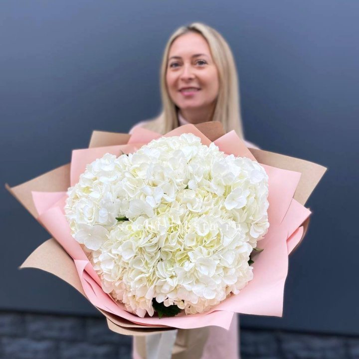 Гортензия белая в Санкт-Петербурге