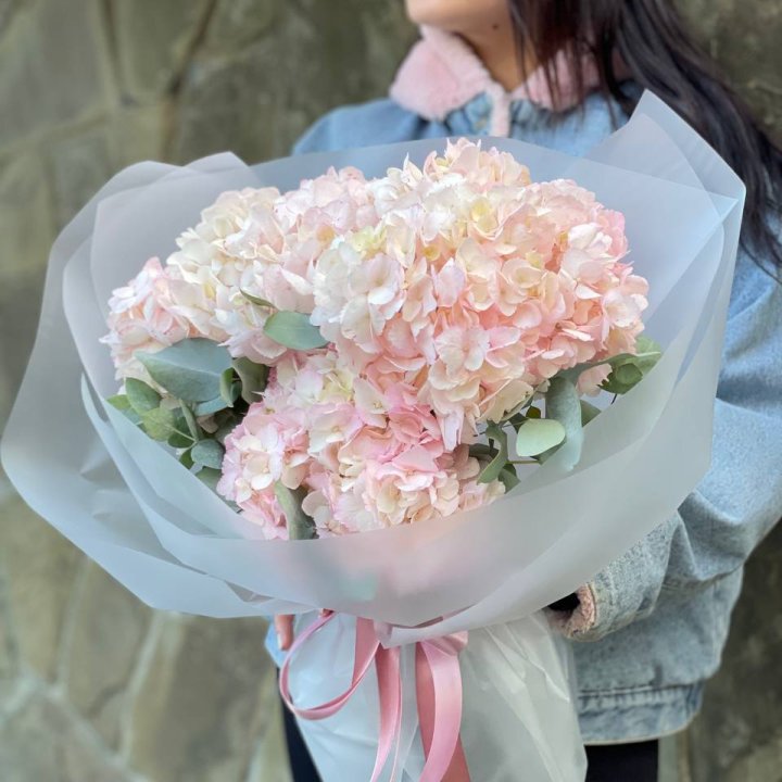 5 розовых гортензий в Санкт-Петербурге