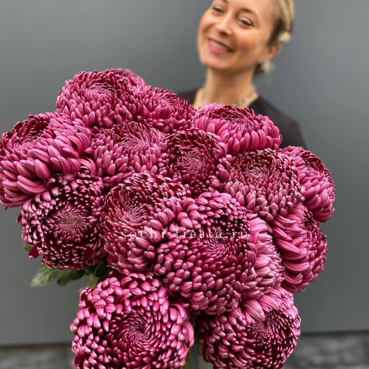 Охапка хризантем Бигуди в Санкт-Петербурге