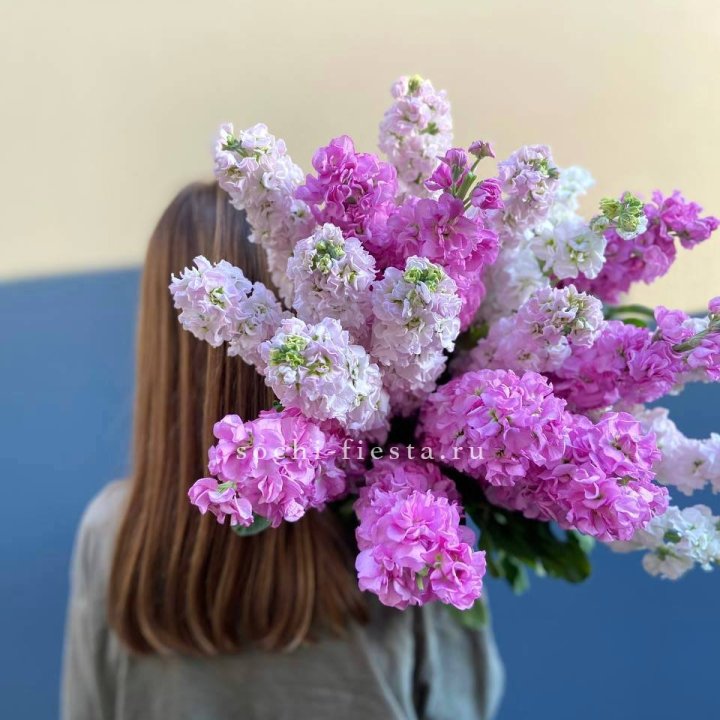 Охапка маттиолы в Санкт-Петербурге