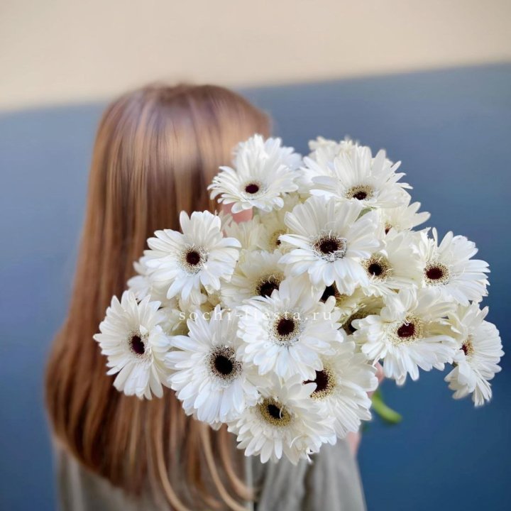 Охапка гербер в Санкт-Петербурге