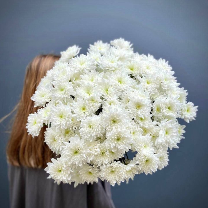 Охапка Хризантемы кустовой в Санкт-Петербурге