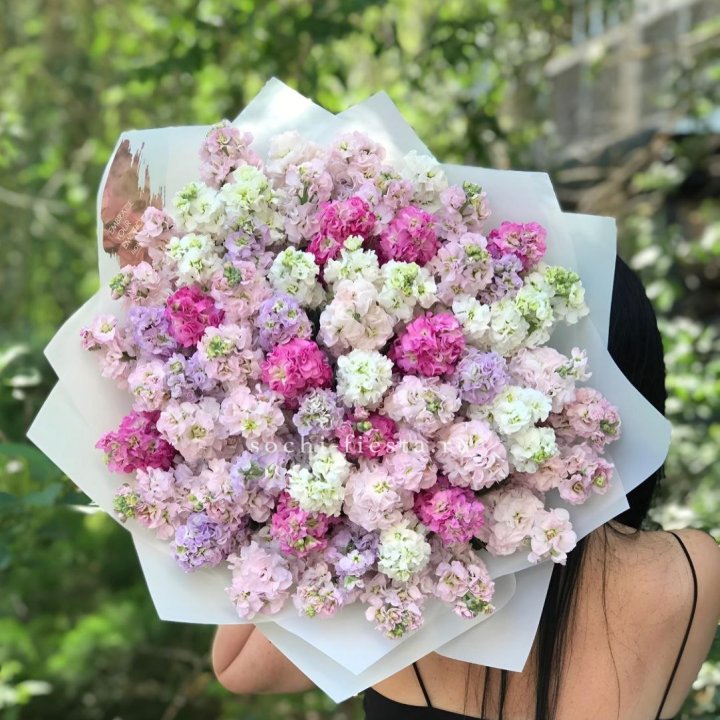 Букет ароматной маттиоллы №3 в Санкт-Петербурге