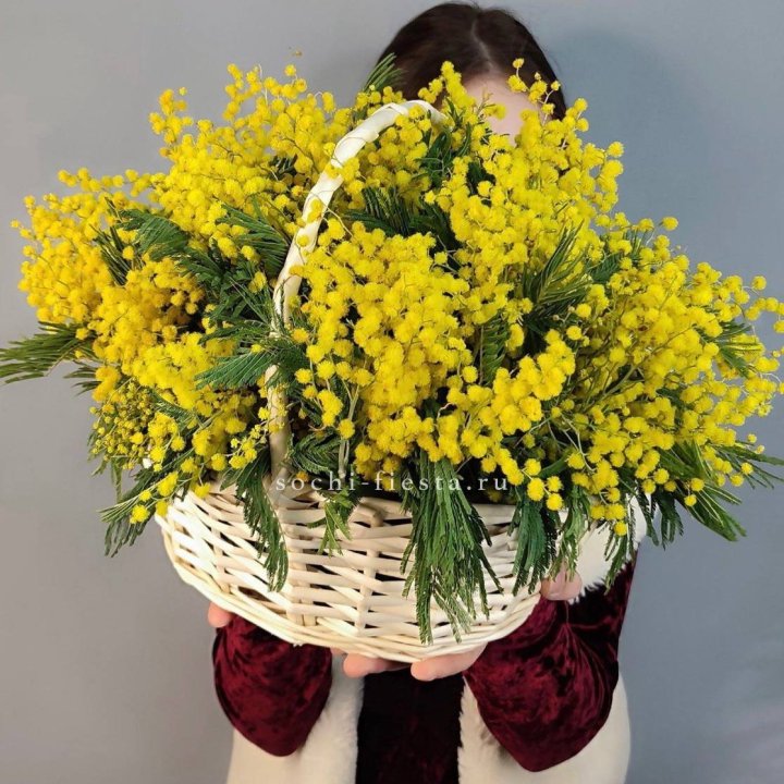 Корзина ароматной мимозы в Санкт-Петербурге