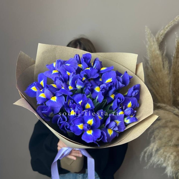 Ирисы в Санкт-Петербурге