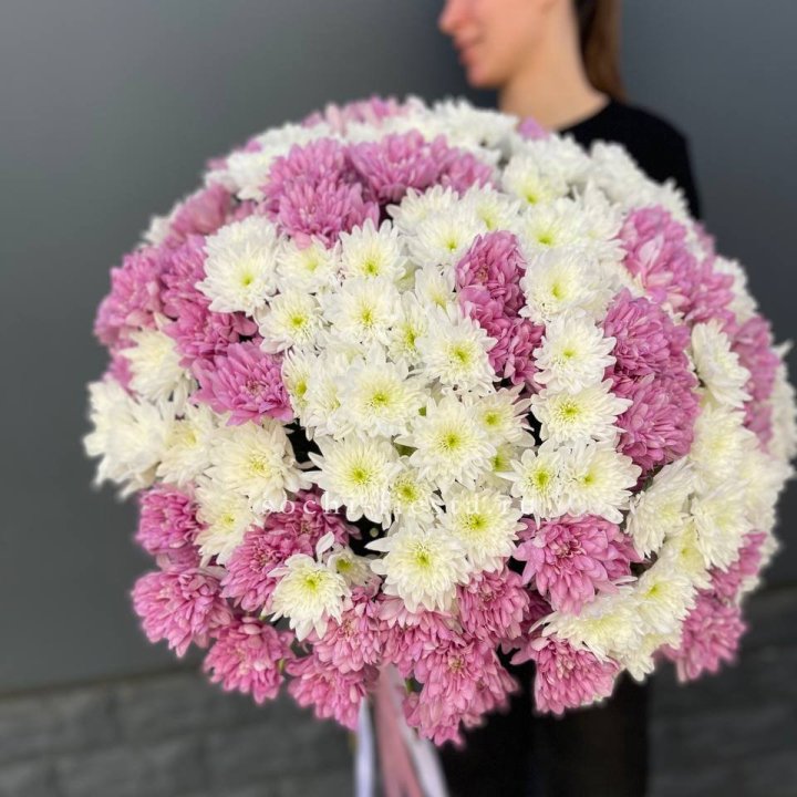  Букет 25 хризантем микс в Санкт-Петербурге