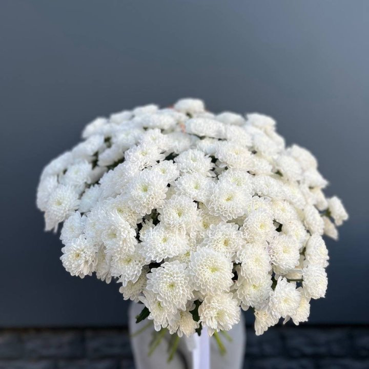  25 хризантем белых в Санкт-Петербурге