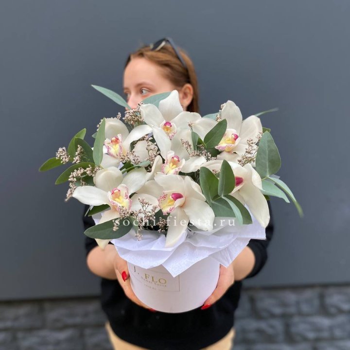 7 орхидей в боксе в Санкт-Петербурге