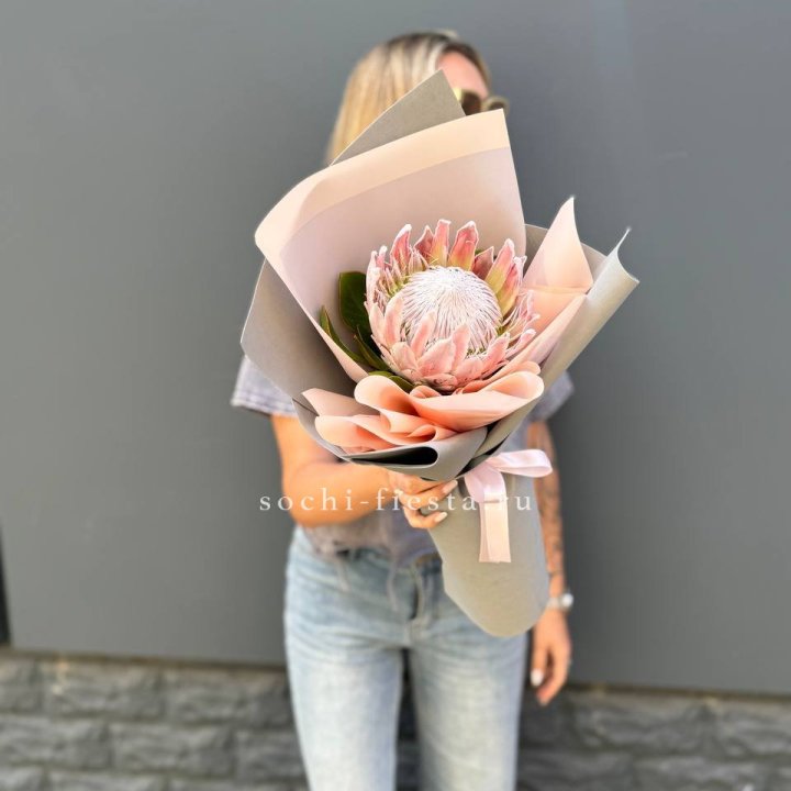 Протея мини  в Санкт-Петербурге