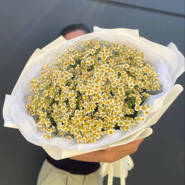 Букет ромашек №2 в Санкт-Петербурге