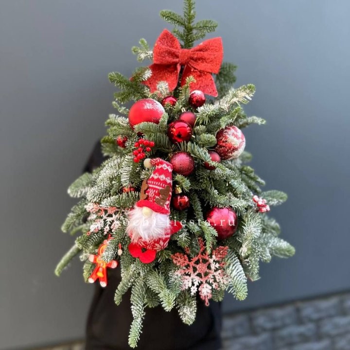 Новогодняя елочка "Ред" в Санкт-Петербурге