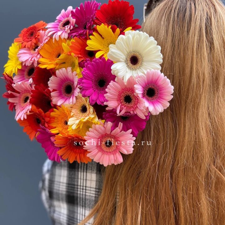 Охапка гербер  в Санкт-Петербурге