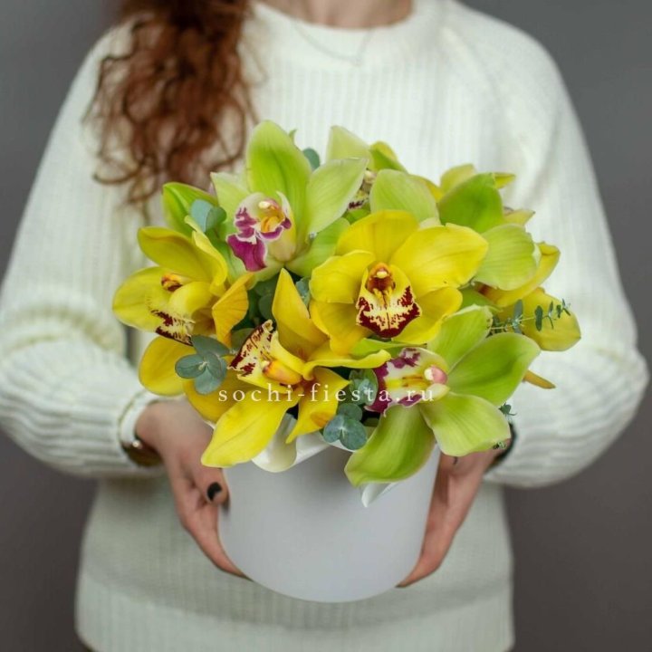 Бокс с орхидей №1 в Санкт-Петербурге