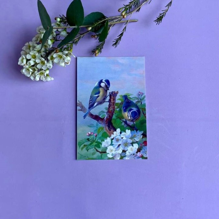 Открытка к букету "Птицы" в Санкт-Петербурге