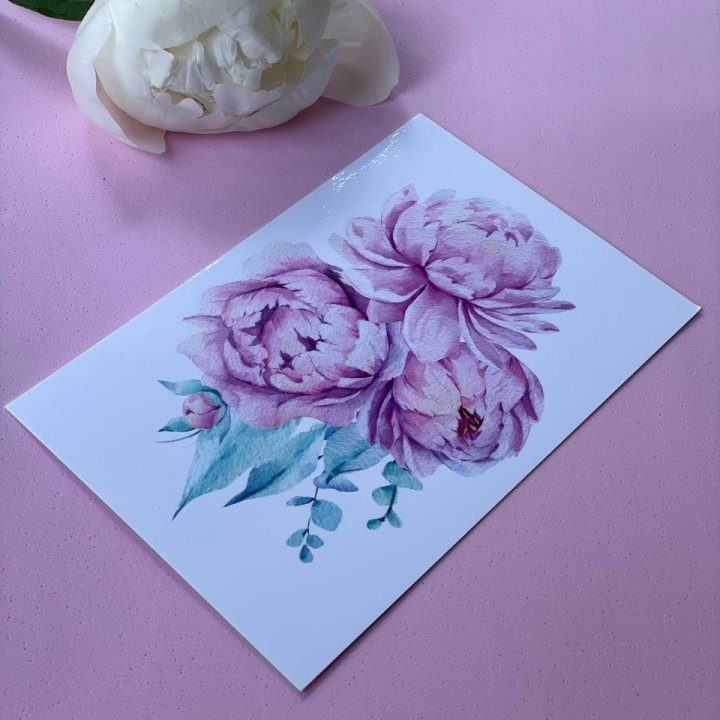 Открытка к букету "Пионы" в Санкт-Петербурге