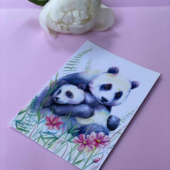 Открытка к букету "Объятие Панды" в Санкт-Петербурге