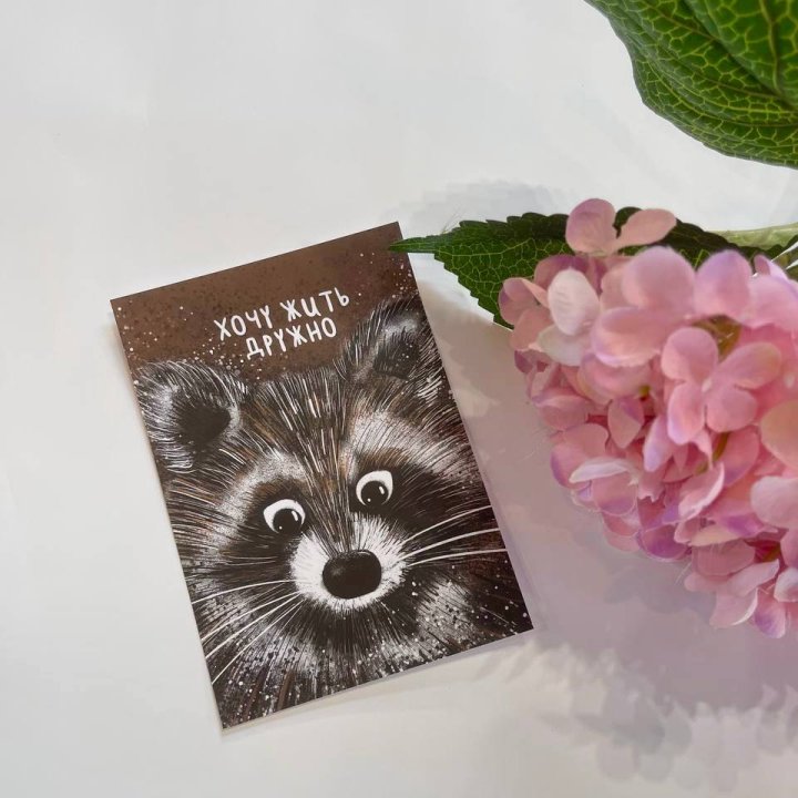 Открытка к букету "Енотик" в Санкт-Петербурге