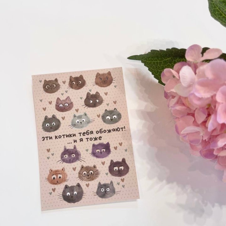 Открытка к букету "Котики" в Санкт-Петербурге