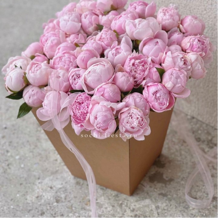 49 пионов в крафт коробке в Санкт-Петербурге