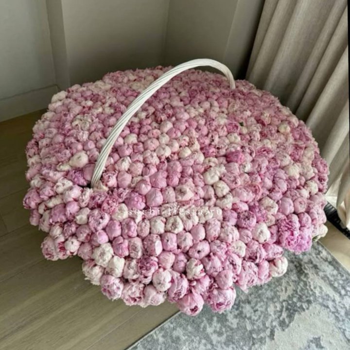 Корзина 555 пионов в Санкт-Петербурге