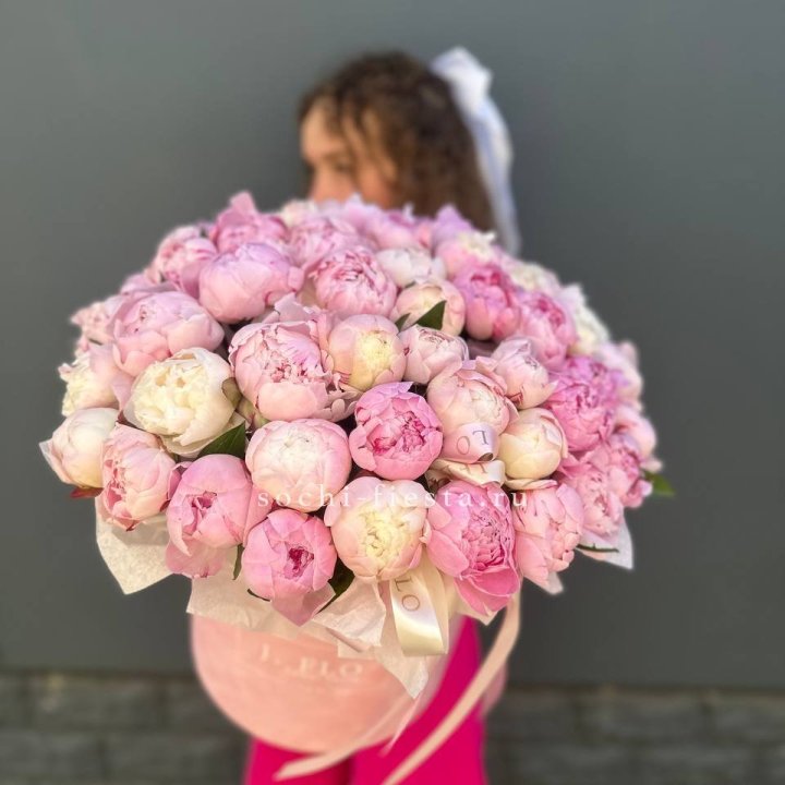 51 нежных пионов  в цилиндре в Санкт-Петербурге