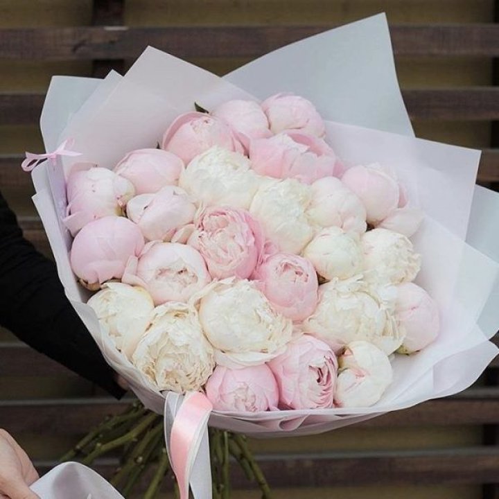 29 пионов в Санкт-Петербурге