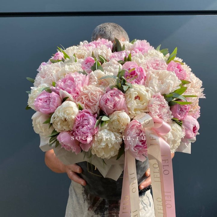 51 пионов в боксе в Санкт-Петербурге