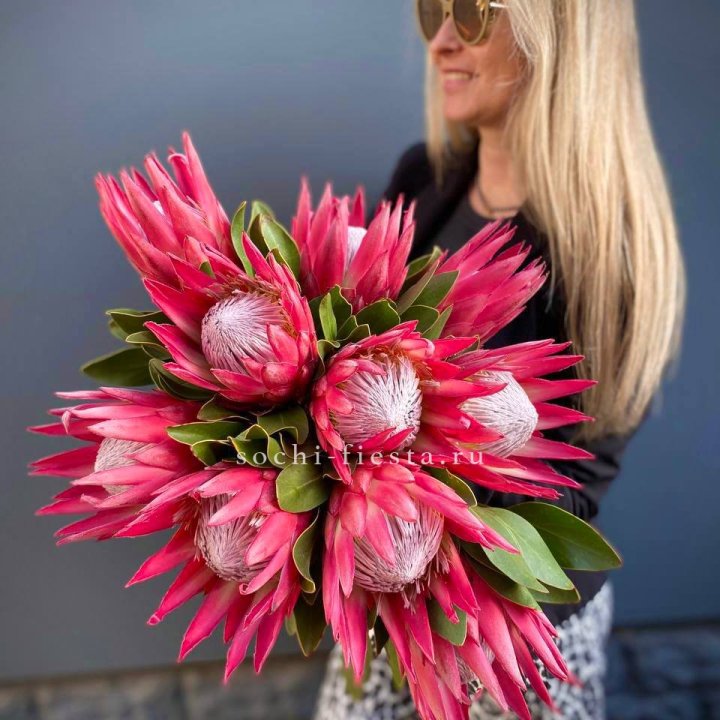 Протея штучно в Санкт-Петербурге