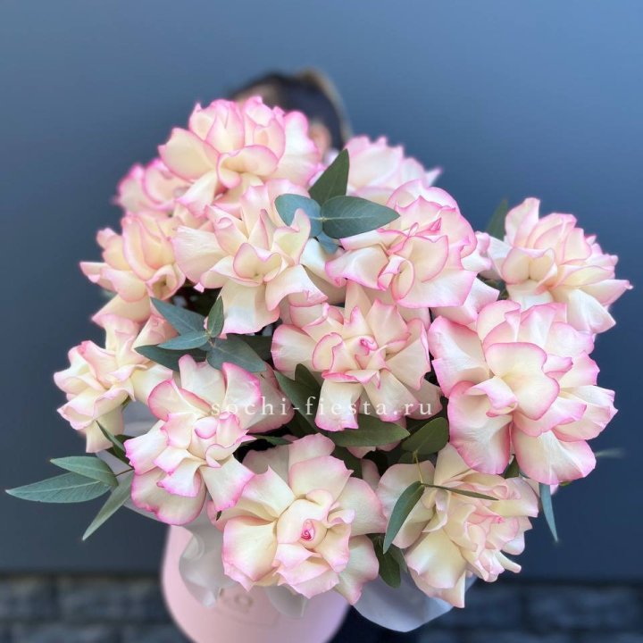 15 Французских роз Джумилия в боксе в Санкт-Петербурге