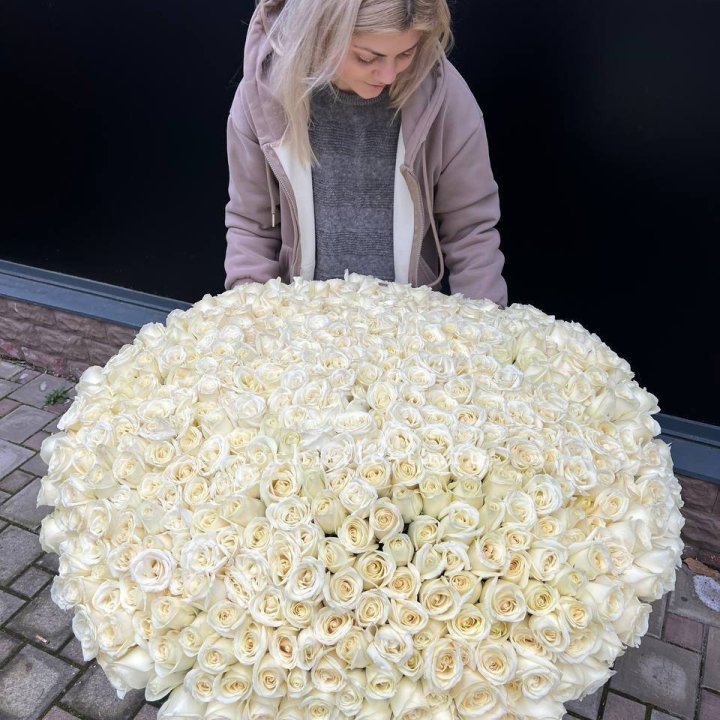 501 белая роза в корзине в Санкт-Петербурге