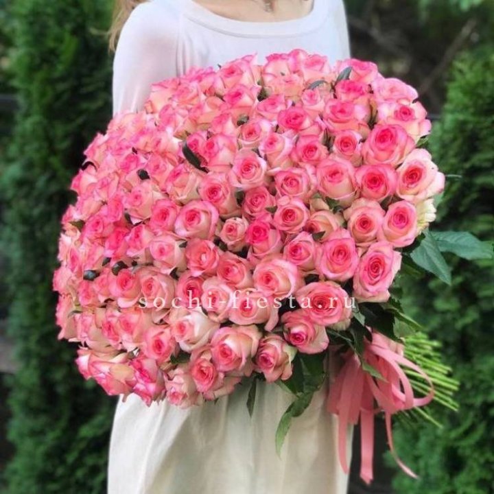 101  джумилия роза  в Санкт-Петербурге