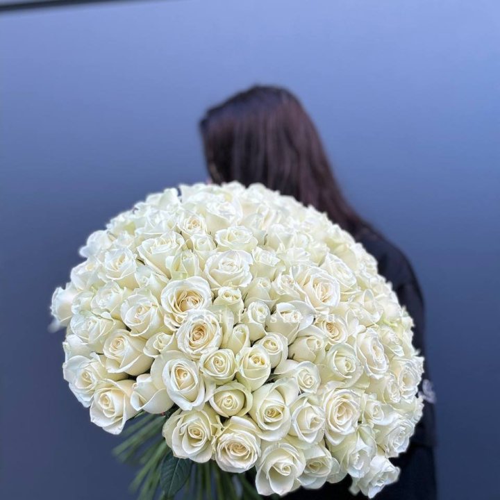 Охапка из 101 белой розы  в Санкт-Петербурге