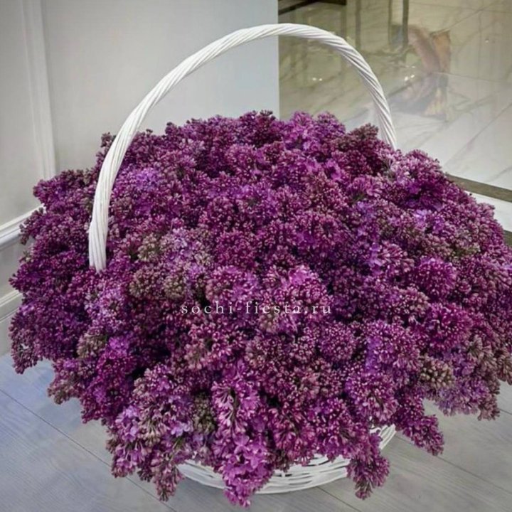 Корзина сирени в Санкт-Петербурге